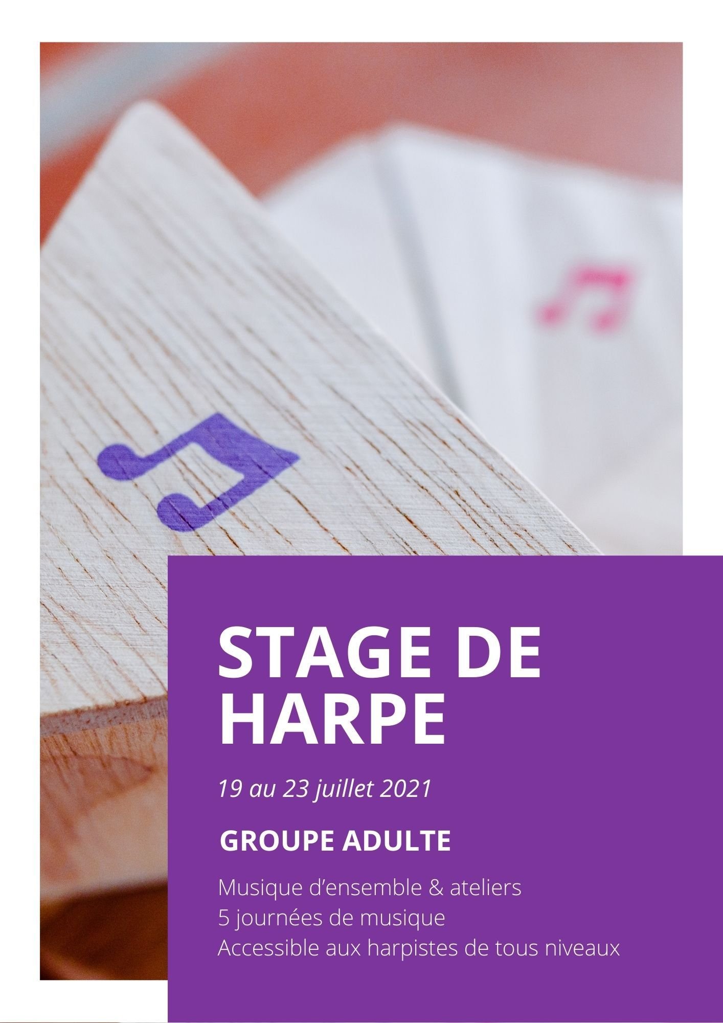 stgadultesete